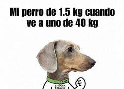 Enlace a No entiende de desigualdad