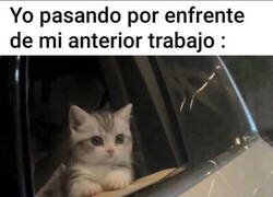 Enlace a ¿Qué será de ellos?