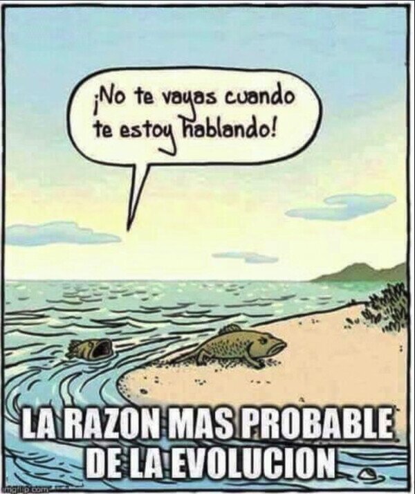 Meme_otros - Por no discutir, evolucionó