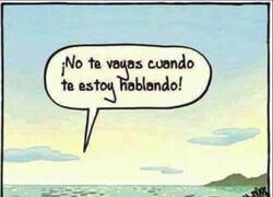 Enlace a Por no discutir, evolucionó