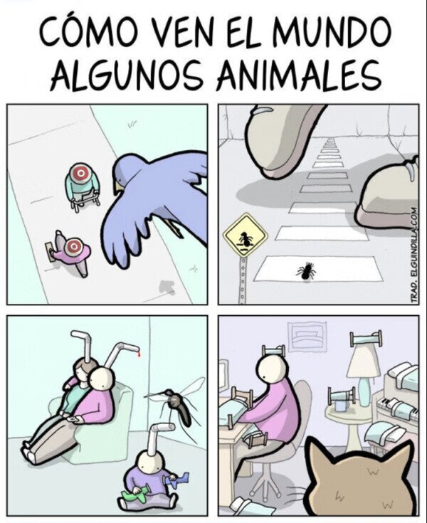 Meme_otros - Como ven el mundo algunos animales