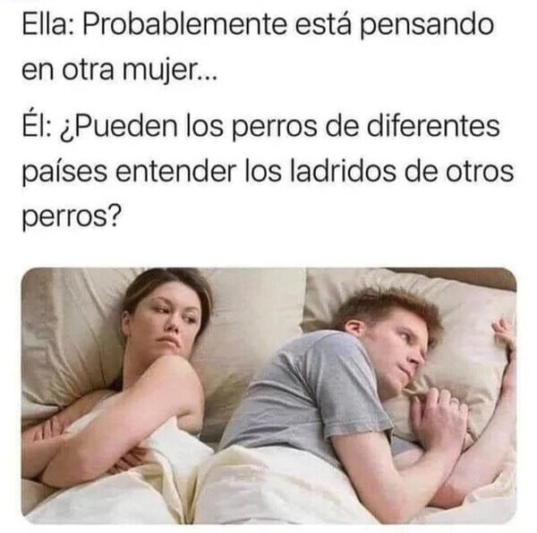 Meme_otros - ¿Los perros tienen idiomas entre ellos?