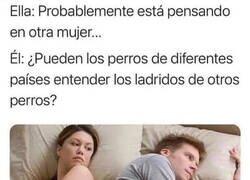 Enlace a ¿Los perros tienen idiomas entre ellos?