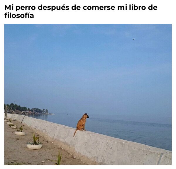 Otros - Ahora tiene un vacío existencial