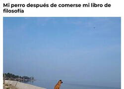 Enlace a Ahora tiene un vacío existencial