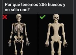 Enlace a ¿Por qué tanta complicación?