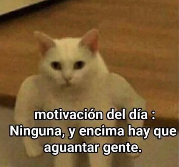 Otros - La motivación del día