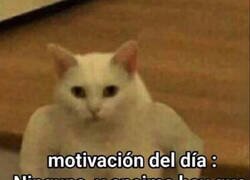 Enlace a La motivación del día