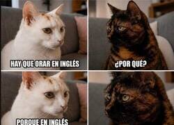 Enlace a Tiene sentido