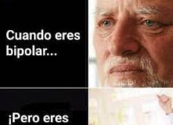 Enlace a Cuando eres bipolar