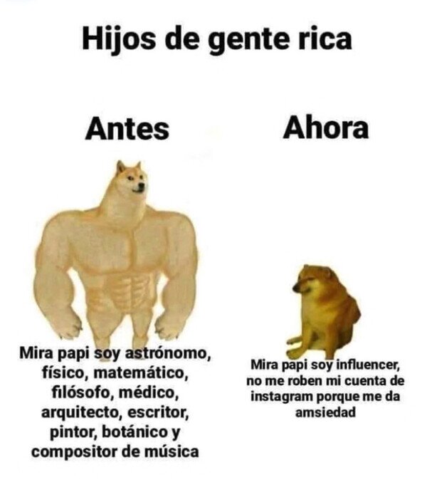 Meme_otros - Es más cómodo vivir del dinero de papá
