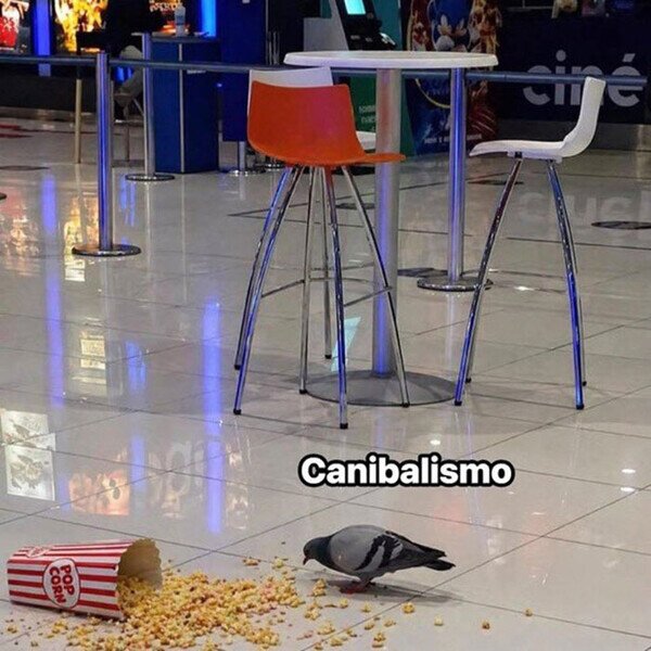 paloma,palomitas,canibalismo