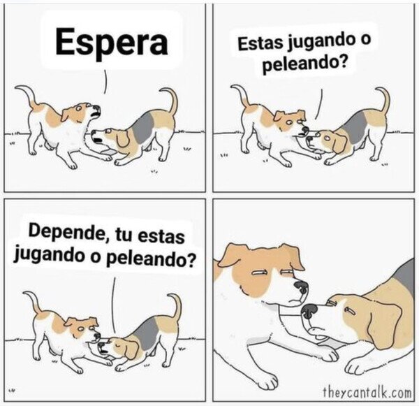 perros,jugar,pelear