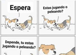 Enlace a Malentendido canino