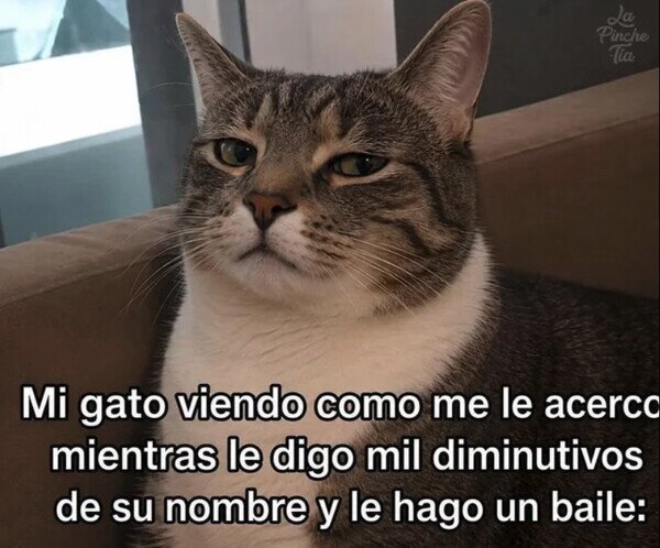 Otros - ¿Qué debe estar pensando?