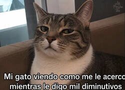 Enlace a ¿Qué debe estar pensando?