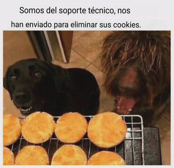 Otros - Ya llegaron los del soporte técnico