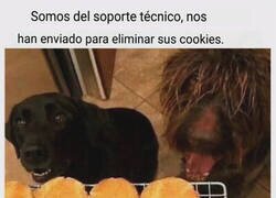 Enlace a Ya llegaron los del soporte técnico