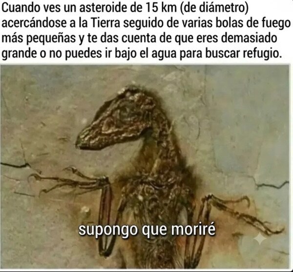 dinosaurio,meteorito,f&oacute;sil,asumir