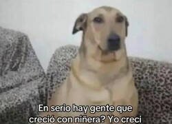 Enlace a ¿Quién creció con niñera?