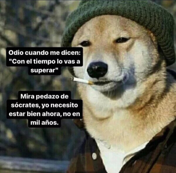 Meme_otros - Gracias por nada