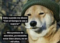 Enlace a Gracias por nada