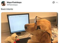 Enlace a El tipo de artículo que escribiría un perro
