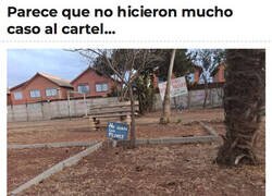 Enlace a ¿Qué flores?