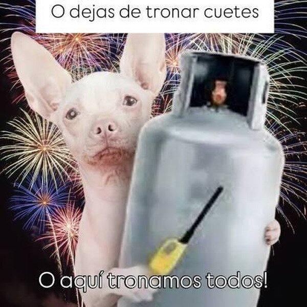 petardos,perros,San Juan