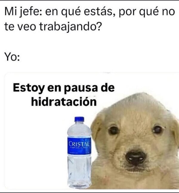 Meme_otros - Lo aprendí viendo el mundial