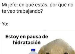 Enlace a Lo aprendí viendo el mundial