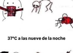 Enlace a Esto es insoportable