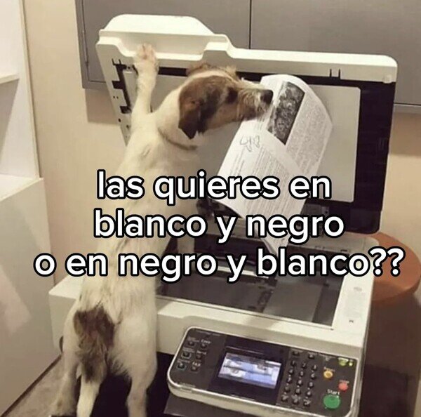 Meme_otros - El Firulais empezó a trabajar en la copistería