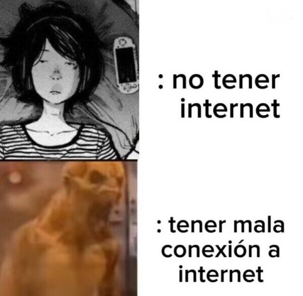 internet,conexi&oacute;n,mala