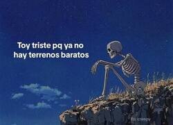 Enlace a No los hay