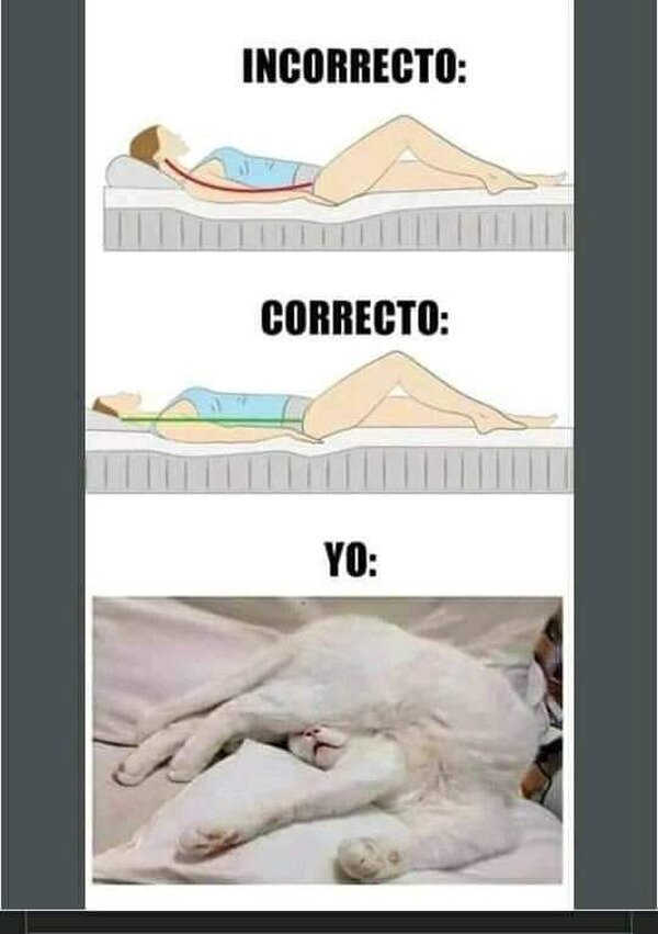 Meme_otros - No duermo con la mejor postura