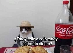 Enlace a Muchas veces me lo pregunto