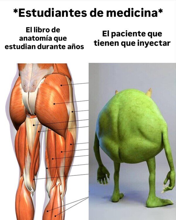 Meme_otros - Este cuerpo no salía en los libros