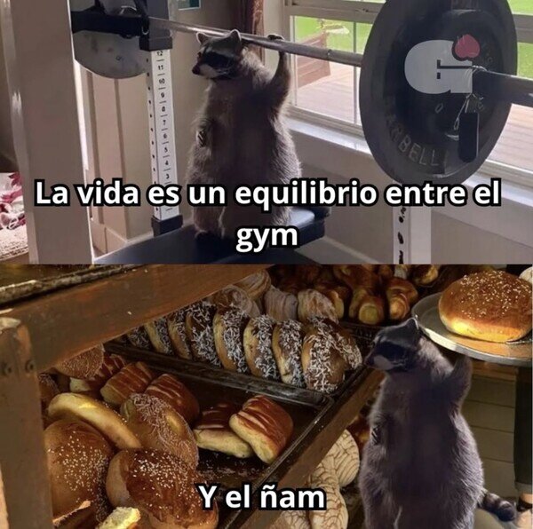vida,equilibrio,gym,&ntilde;am,comer