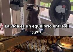 Enlace a El equilibrio vital