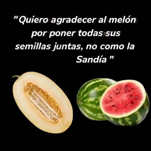mel&oacute;n,sand&iacute;a,semillas