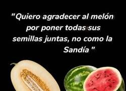 Enlace a Gracias al melón