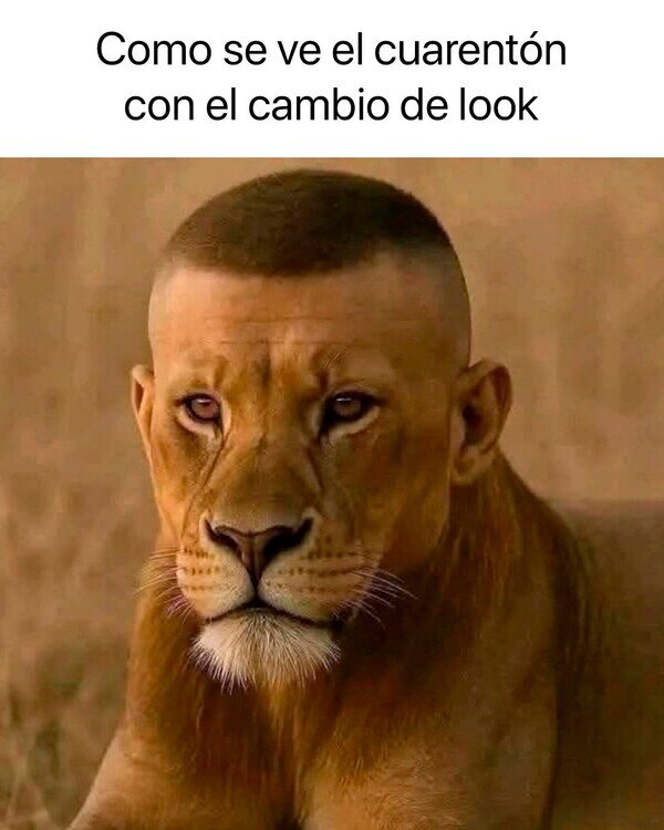 Meme_otros - No es su estilo