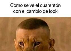 Enlace a No es su estilo