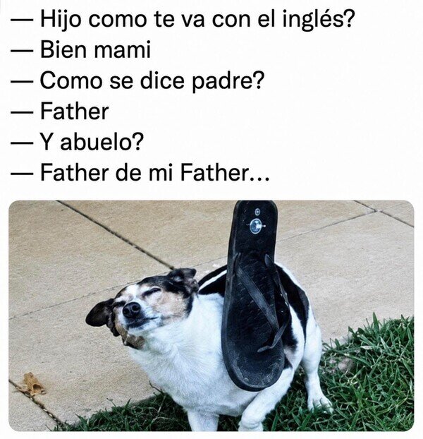 Meme_otros - Así me va con el inglés