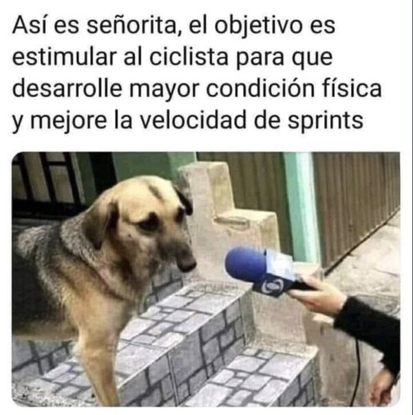 Otros - Lo hace por ellos