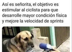 Enlace a Lo hace por ellos