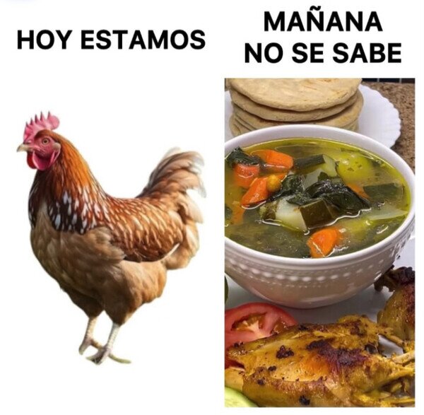 Otros - Disfruta del momento
