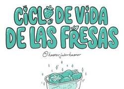Enlace a Ciclo de vida de las fresas
