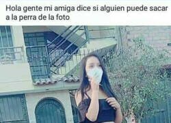 Enlace a Firmado: El perro